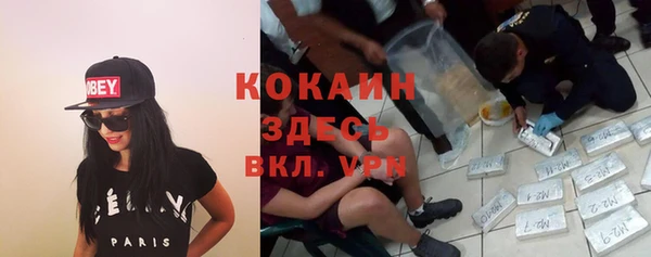 дурь Волоколамск