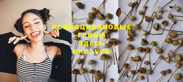 дурь Волоколамск