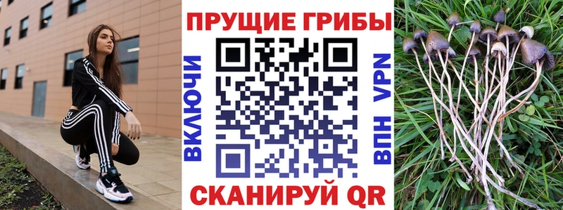 Псилоцибиновые грибы мухоморы  hydra tor  Волчанск 